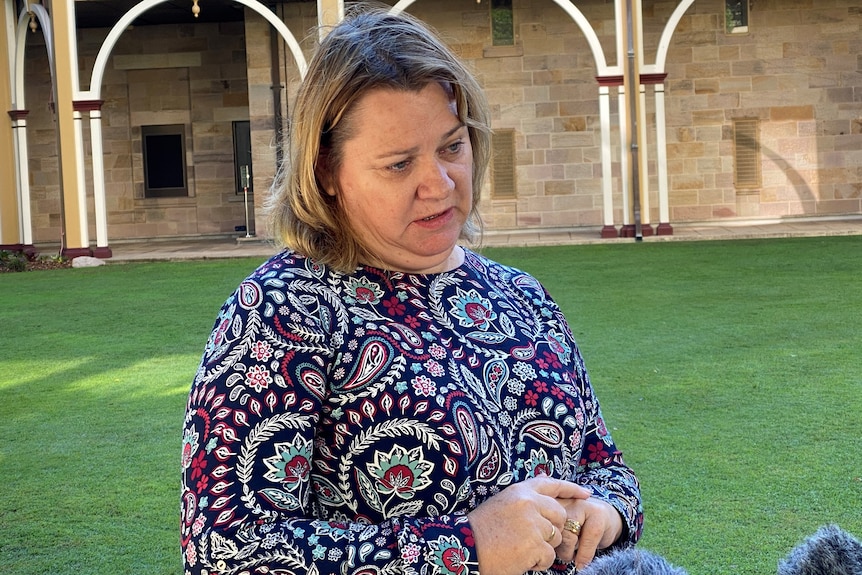 Catherine Santagiuliana at state Parliament