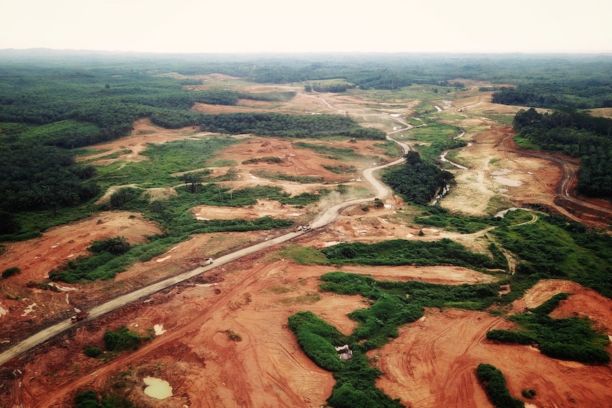 Drone footage of Indonesia's proposed new capital city.