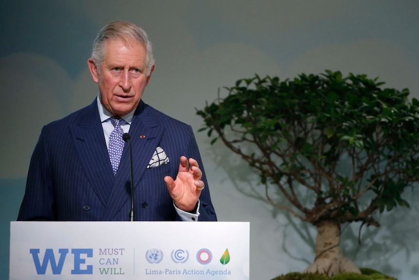 Prince Charles standing at a lectrum with a tree in the background.