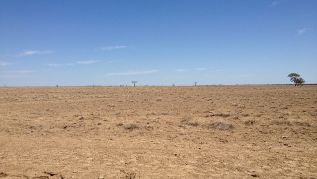Drought continues in parts of Australia but El Nino less likely