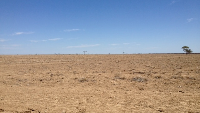 Government drought payments