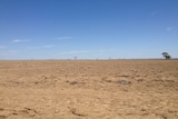Government drought payments