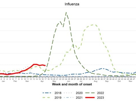 A graph shows the number of flu cases recorded in early 2023.