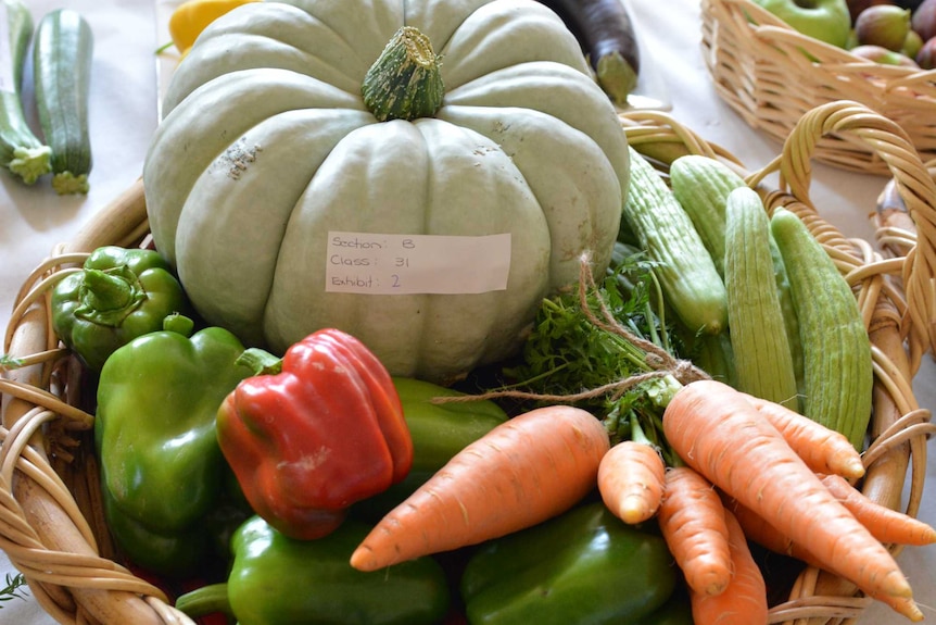 Various Vegetables in a basket ready to be judged for the 2015 Mundulla Agricultural Show