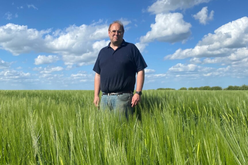 A middle-aged man standing in a crop of barley, under a blue sky.