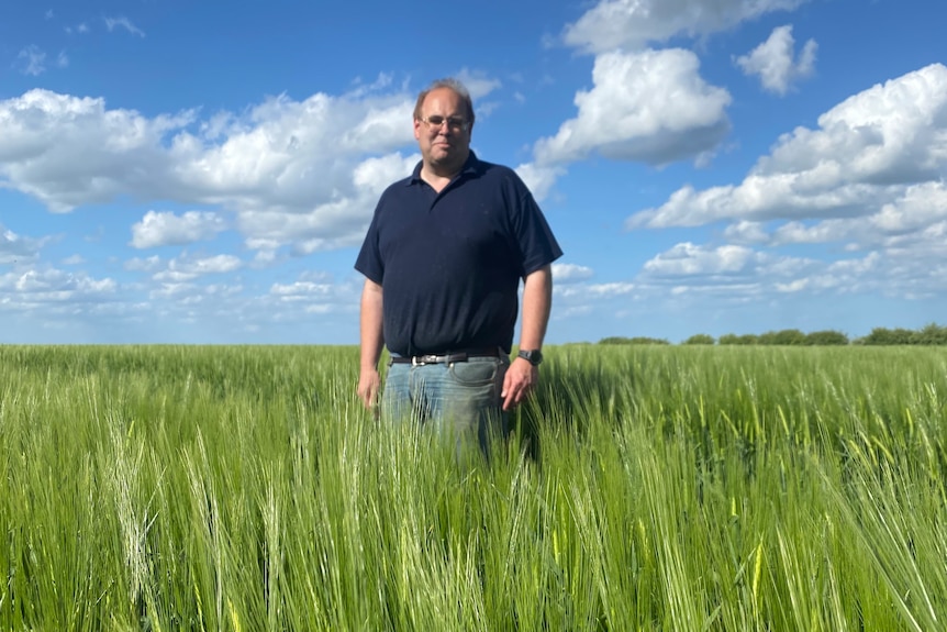 Man standing in a crop of barley