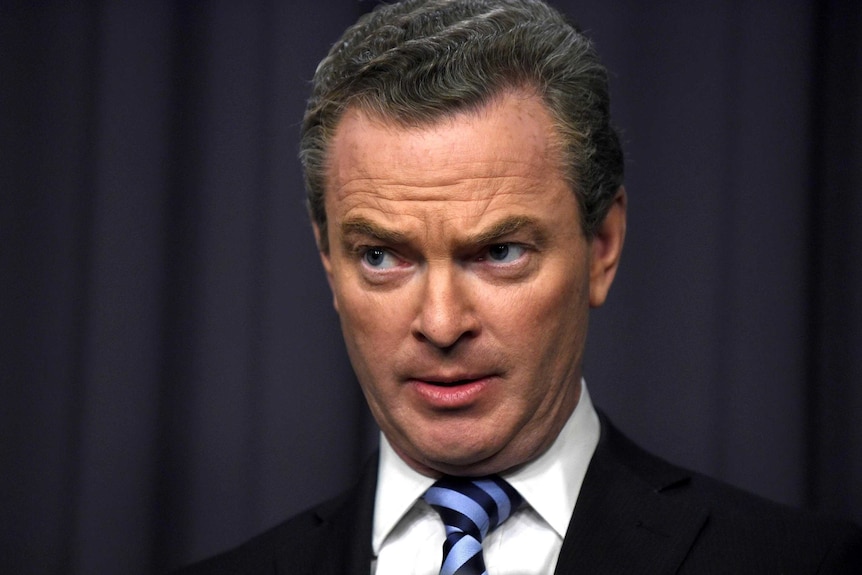 Christopher Pyne at press conference