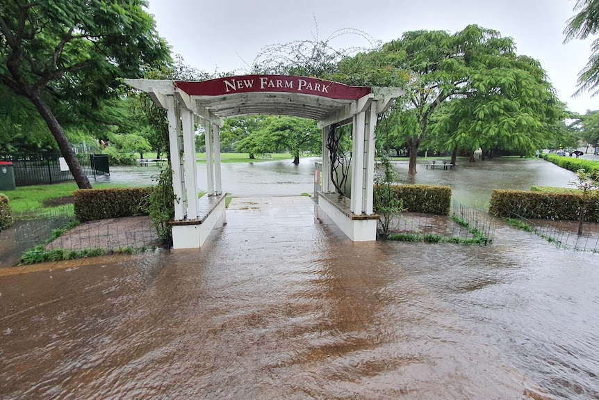 Flood waters under a park entrance sign saying New Farm Park