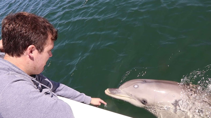 Man on boat with dolphin in the water looking at him