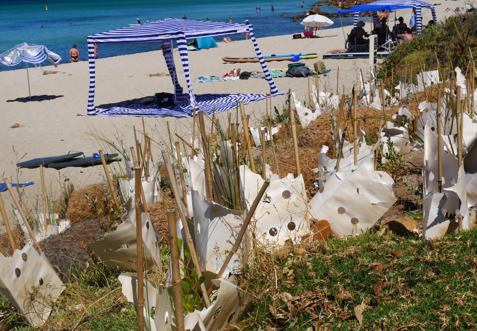 Uma cabana de praia e novas árvores plantadas nas dunas de Meelup Beach