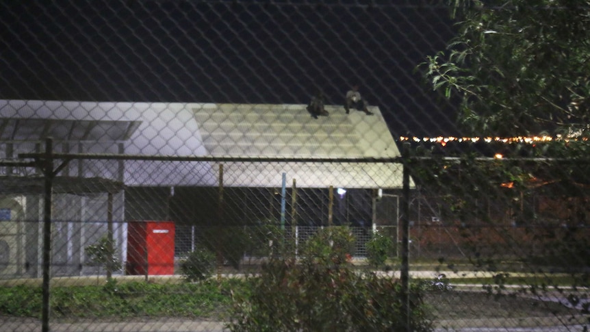 Two figures can be seen on a roof behind fencing in the dark.