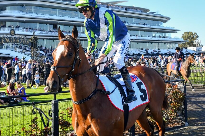 A jockey riding a horse at Flemington.