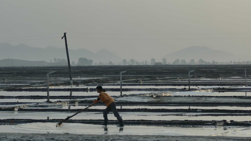 North Korean salt production workers