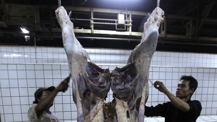 A cow is slaughtered in an Indonesian abattoir