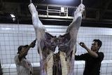 A cow is slaughtered in an Indonesian an abattoir
