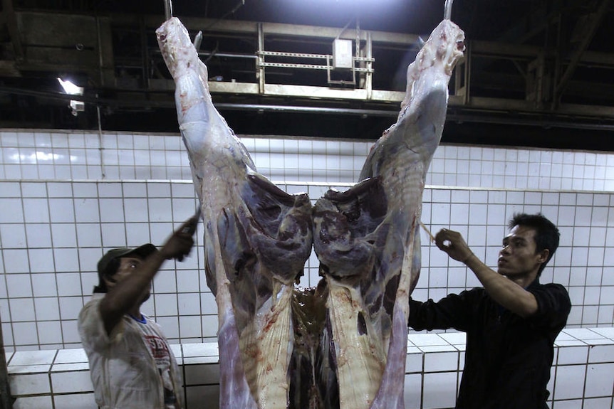 Halal meat requires hand slaughtering and cutting through the jugular vein of an animal.