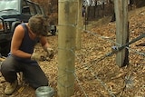 Four hundred kilometres of fences have been rebuilt by Blaze Aid volunteers.