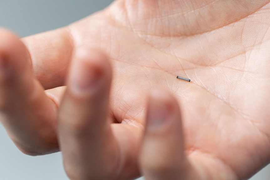 A hand holding a tiny metallic seed.