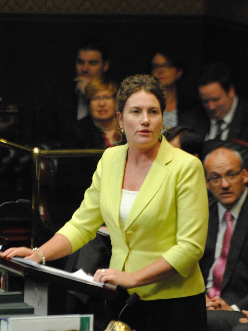 NSW Labor MP Trish Doyle
