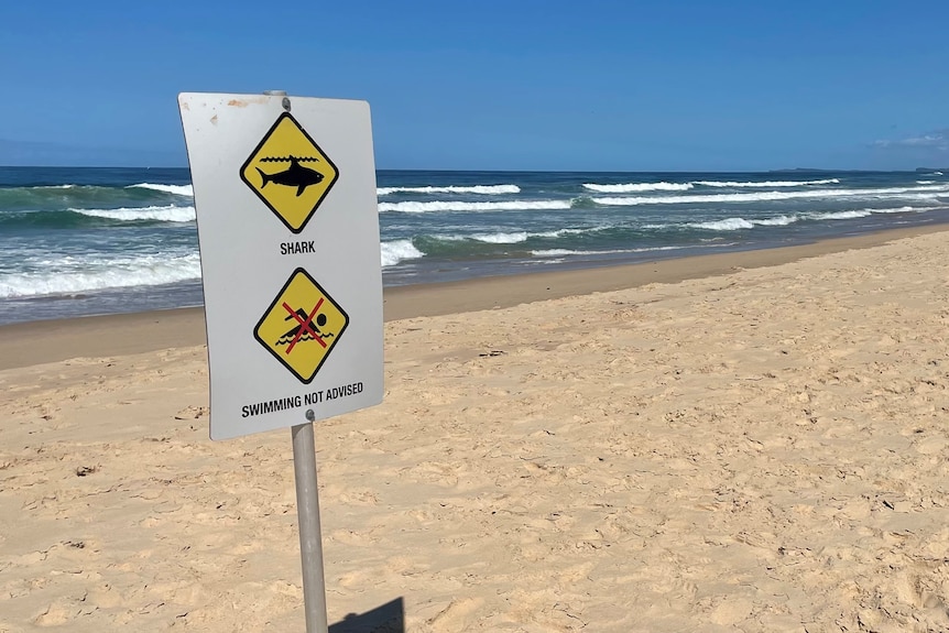 A sign depicting a shark with the words 'swimming not advised' on a long, empty beach.  