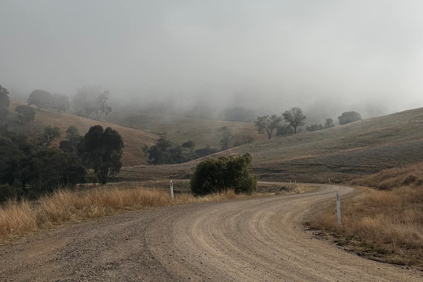 Fog lifts from a gravel road in Bookham on a cold June day