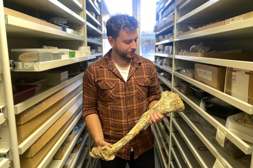 A man in a flannel holding a comically large leg bone. He's surrounded by other bones and boxes. 