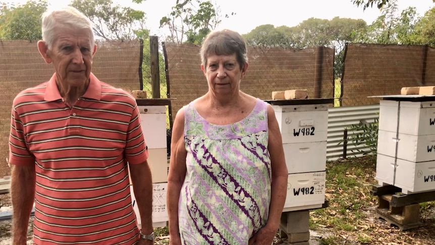 A couple looking very unimpressed standing in front of three European bee hives.