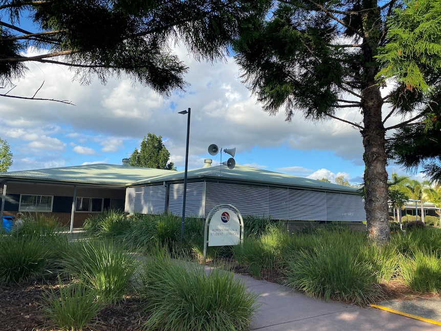 A tall pine tree stands next to the entrance of the school. 