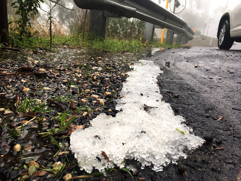 Adelaide hit with strong winds and rain as South Australia