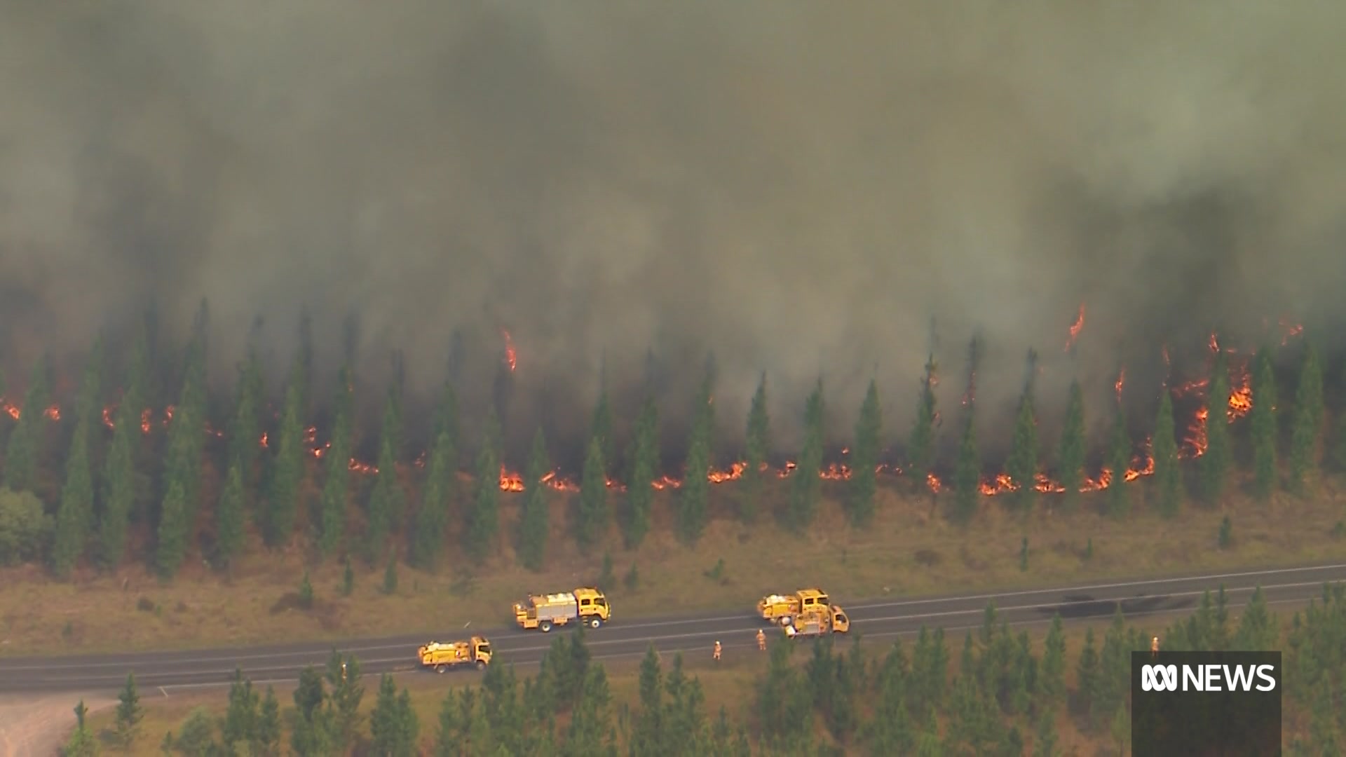 A fire burns through trees at Glass House Mountains National Park