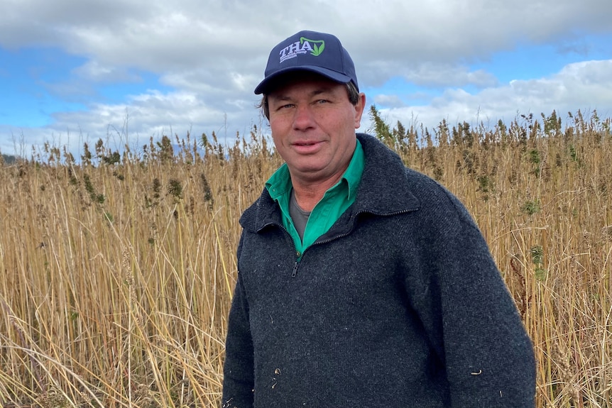 Hemp grower Tim Schmidt in a field.