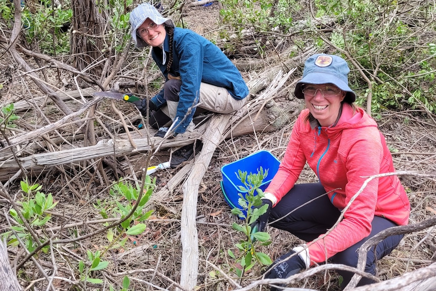 Two young women in hats squat in bushland with trees around them, smiling at the camera