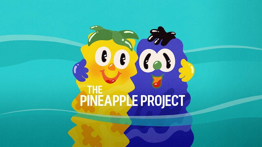 The Pineapple Project series Community image