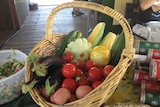 A basket of fruit or vegetables