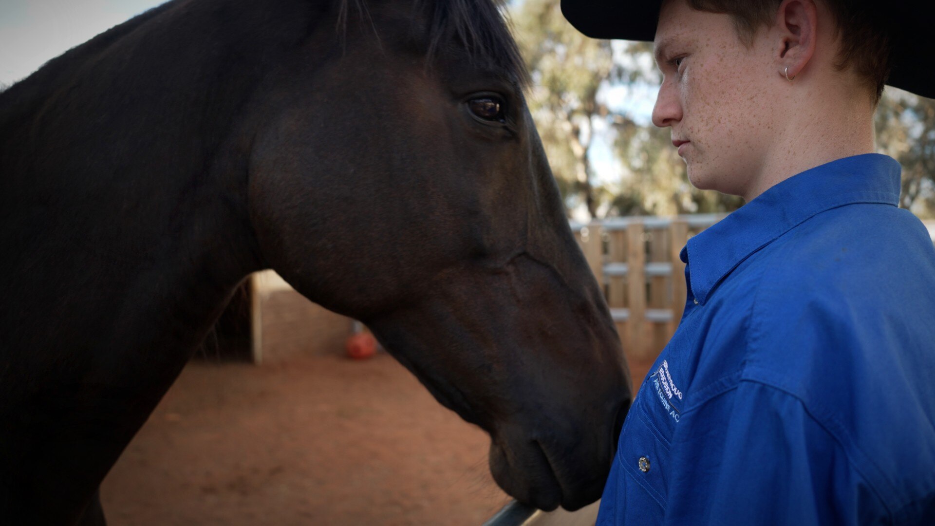 A dark horse eye level with a teenage boy in a blue shirt and cowboy hat