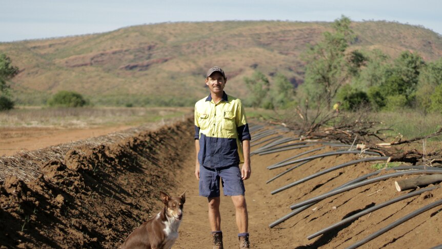 Santanol harvest manager Ben Broadwith and his dog at an Indian sandalwood plantation