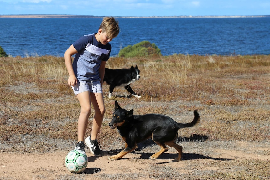 A young boy plays soccer with his dogs with the ocean in the background