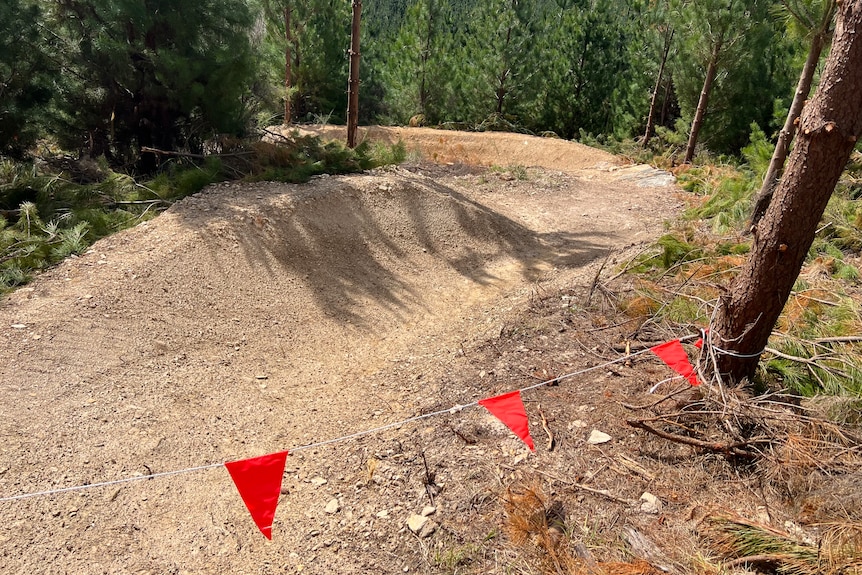 A dirt bike trail behind red flags