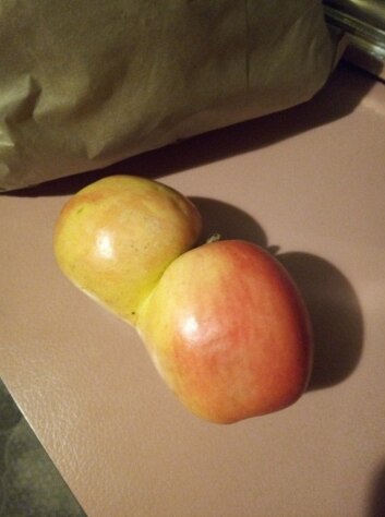 Have you grown a conjoined apple? - ABC listen