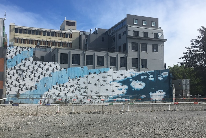 Painting of penguins standing on ice on a wall opposite an empty lot in Christchurch, New Zealand.
