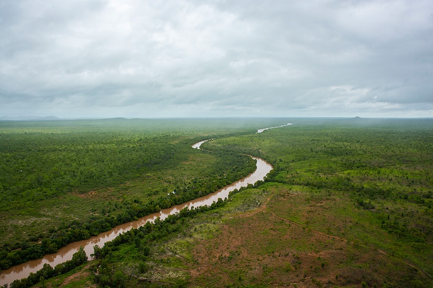 an aerial photo of a brown river flowing through a green landscape.