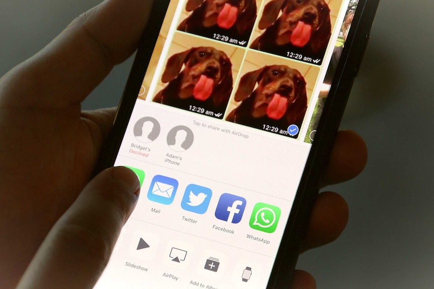 Man holding a phone trying to send a meme of a dog through AirDrop