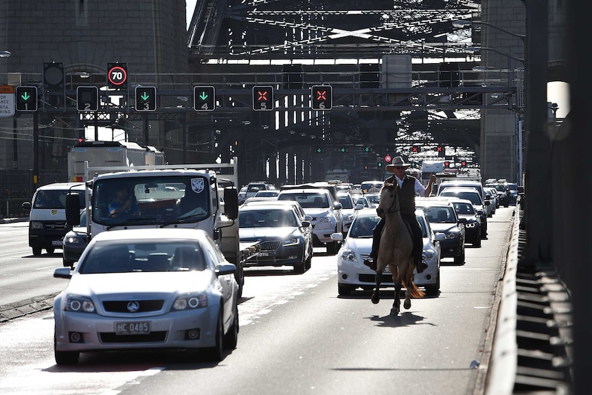 Glenn Morris, of Inverell, rides a horse over the Harbour Bridge to promote farmer rights.