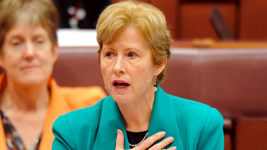 Senator Christine Milne addresses the Senate in Parliament House.