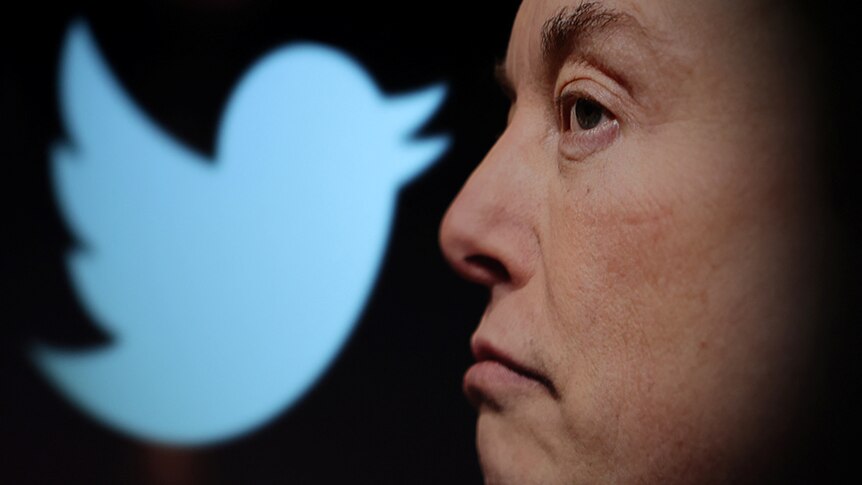 Twitter logo and a photo of Elon Musk are displayed through magnifier in an illustration.