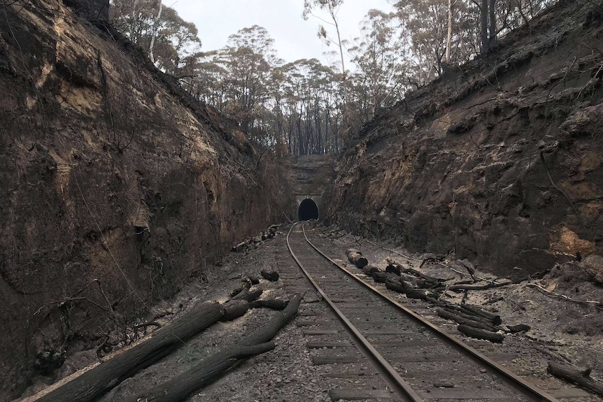 Burnt tree trunks litter the entrance of a railway tunnel.