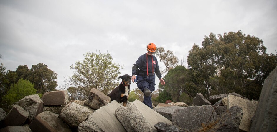 Monica and rescue dog Chloe on a training site