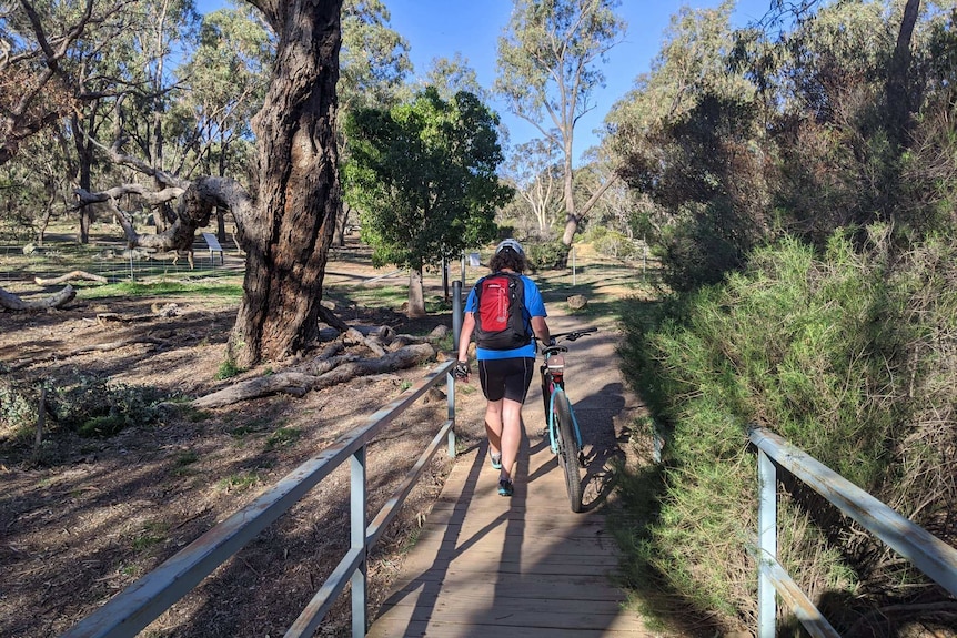 A lady cycles along a bush track