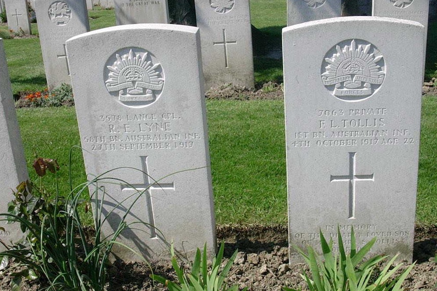 White headstones in a cemetery with one naming F. L. Tollis.