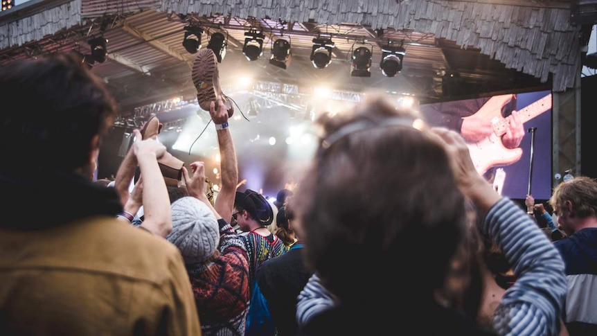 A photo taken from among the crowd at a music festival looking up at the stage.